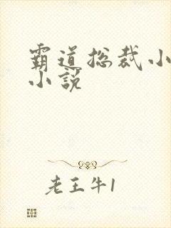 霸道总裁小娇妻小说