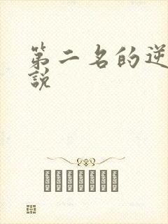 第二名的逆袭小说