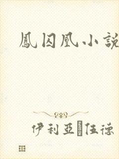 凤囚凰小说封面