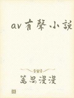 av有声小说封面