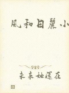 风和日丽小说封面