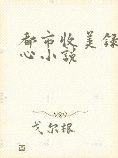 都市收美录宁素心小说