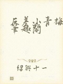 反差小青梅小说笔趣阁