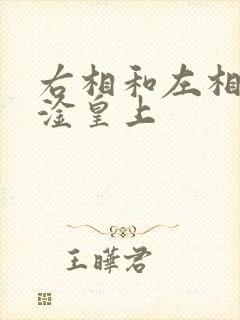 右相和左相一起淦皇上封面