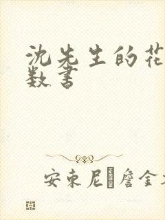 沈先生的花式调数书封面