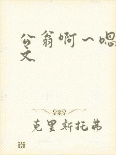 公翁啊～嗯啊h文