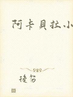 阿卡贝拉小说封面