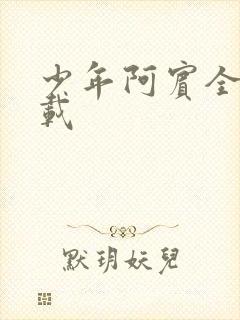 少年阿宾全集下载封面