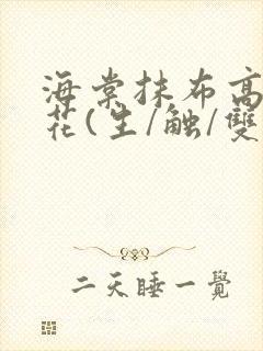 海棠抹布高岭之花(生/触/双)封面