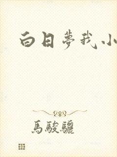 白日梦我小说
