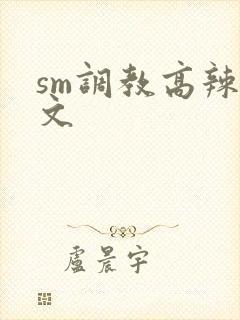 sm调教高辣h文封面