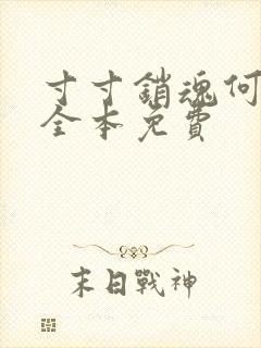 寸寸销魂何生祥全本免费