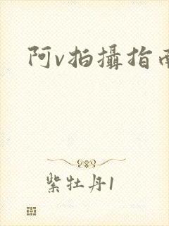 阿v拍摄指南