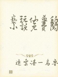 亵玩仙尊的道侣小说免费阅读