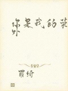 你是我的荣耀番外