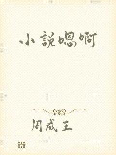 小说嗯啊