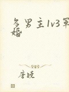 多男主1v3军婚