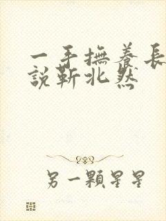 一手抚养长大小说靳北然