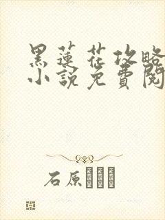 黑莲花攻略手册小说免费阅读全文