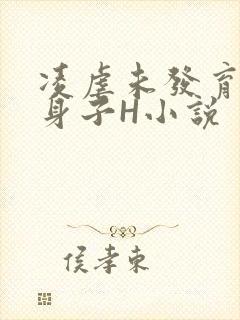 凌虐未发育的小身子H小说