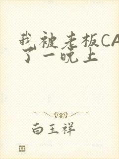 我被老板CAO了一晚上封面