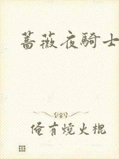 蔷薇夜骑士