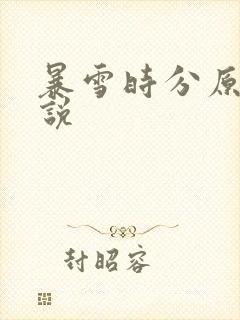 暴雪时分原著小说