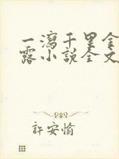 一泻千里金银花露小说全文免费阅读