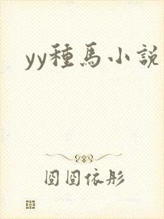 yy种马小说