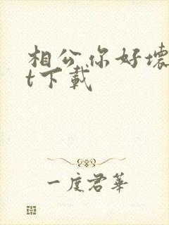 相公你好坏txt下载