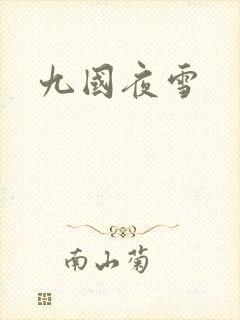 九国夜雪