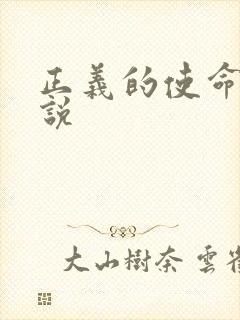 正义的使命 小说封面