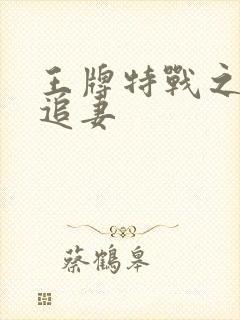 王牌特战之军少追妻