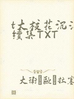 t大校花沉浮录续集TXT