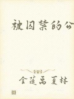 被囚禁的公主封面