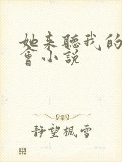 她来听我的演唱会小说