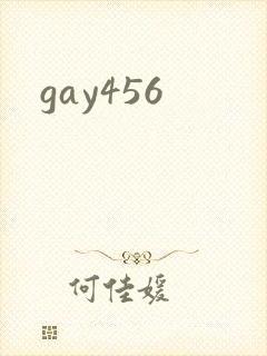 gay456封面