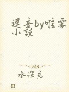 迟音by唯雾的小说