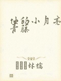 他的小月亮by青藤