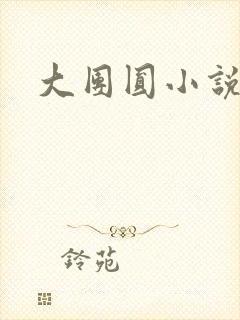 大团圆小说