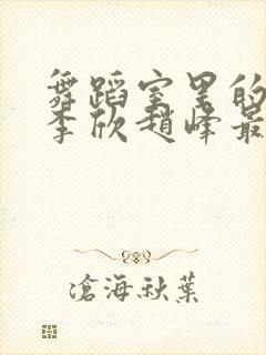 舞蹈室里的景色李欣赵峰最新章节