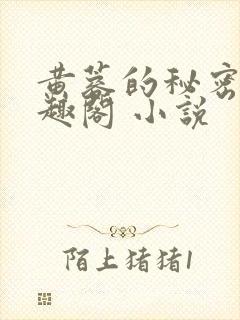 黄蓉的秘密 笔趣阁 小说