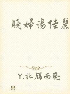 贱妇汤佳丽封面