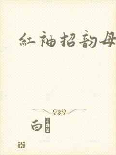 红袖招韵母攻略