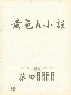 黄色h小说