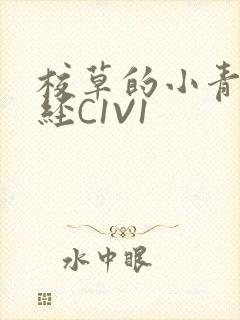 校草的小青梅不经C1V1