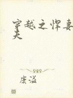 穿越之悍妻共三夫