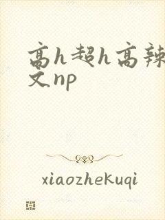 高h超h高辣h文np封面