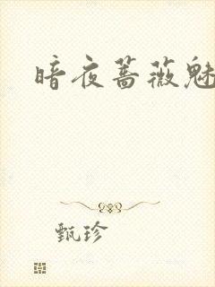 暗夜蔷薇魅