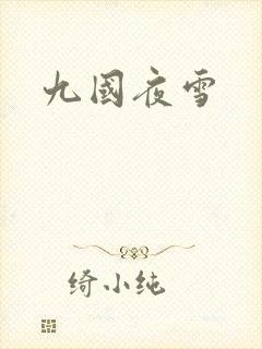 九国夜雪封面